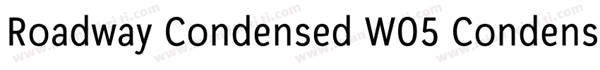 Roadway Condensed W05 Condensed字体转换